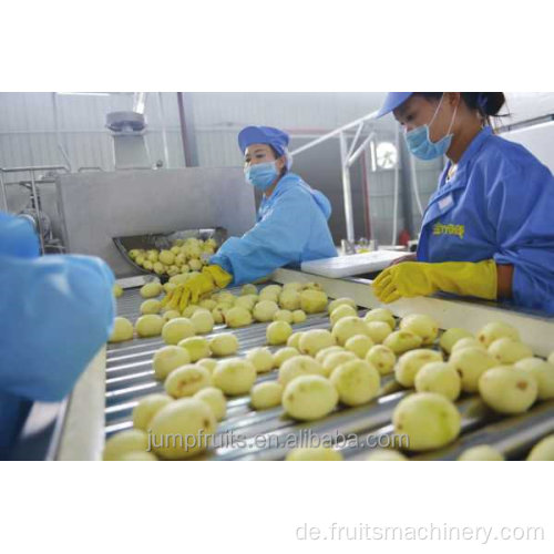 Kartoffelchips -Maschinen vom Waschen bis zur Verpackungslinie